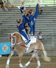 horse vaulter team performing