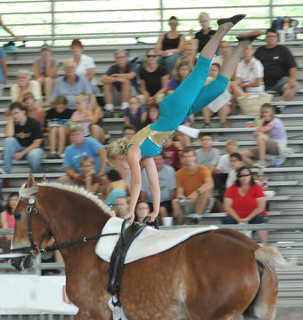 horse vaulters performing