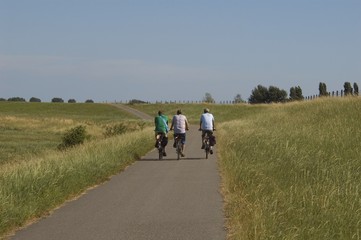 Fototapeta premium 3 friends riding a bike