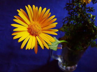 for you