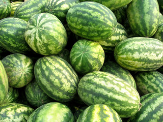 watermelons