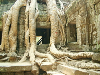ta phrom, cambodge