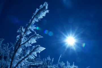 ice