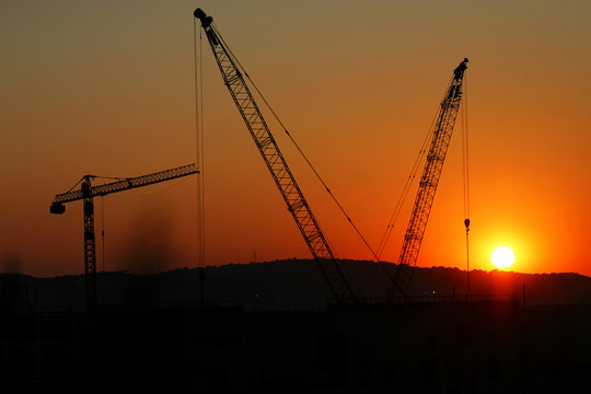 grues