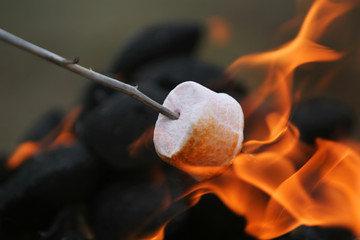 fire roasted marshmallow - obrazy, fototapety, plakaty