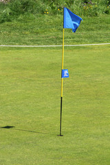 Obraz premium golfcourse flag