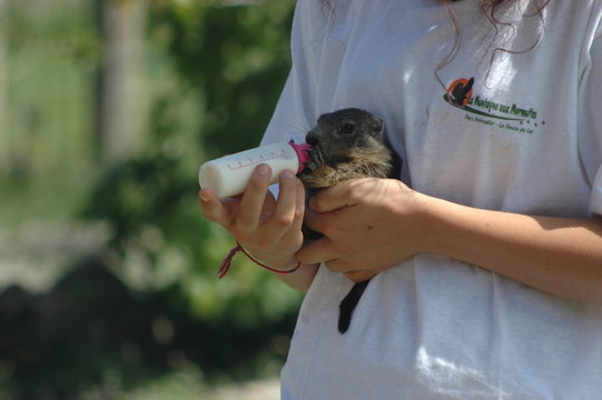 b&eacute;b&eacute;