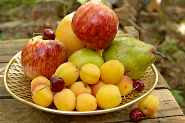 fruit still-life