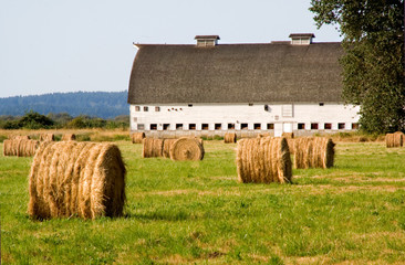 sunset at the old barn
