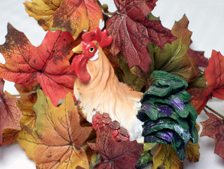 Obraz premium rooster