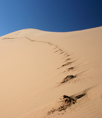 footprints to nowhere