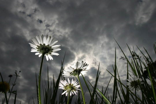dramatisches licht