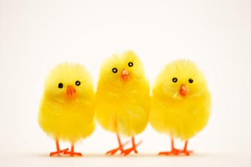 three easter chicks close up