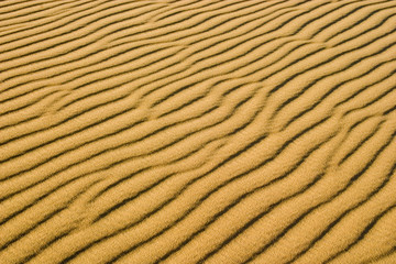 sand dune ribs