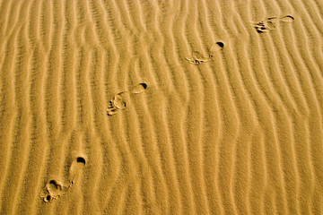 footprints in the sand