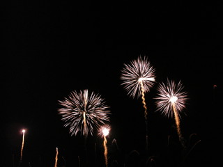 firework