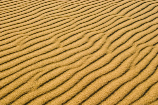 sand dune ribs