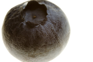 stock photo of a blueberry isolated on white backg