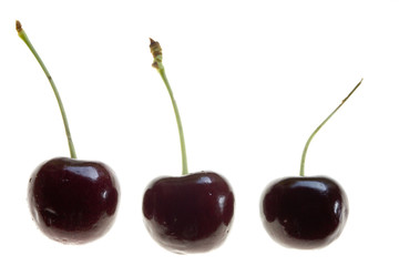 stock photo of three cherries isolated on white ba