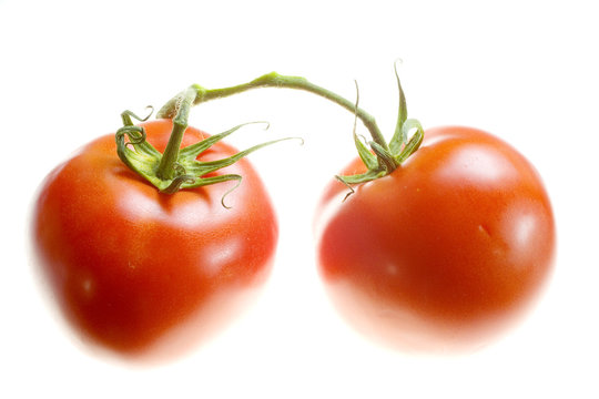 stock photo of two tomatoes isolated on white background