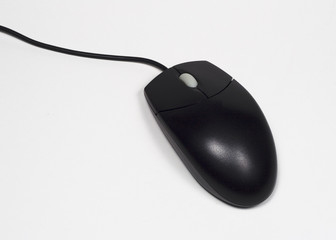 black mouse