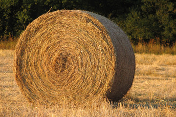 hay bails