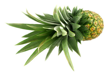 isolated pineapple