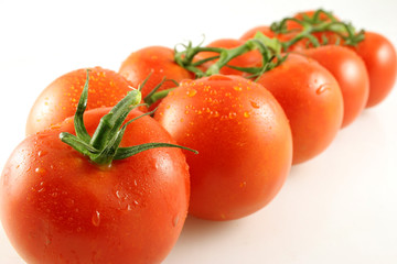 tomato perspective