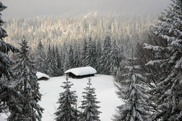 winterlandschaft