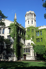 Fototapeta premium university of chicago neogothic building