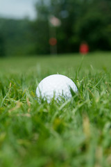 golf-ball near the green