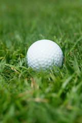 golf-ball in the grass