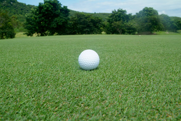 golf ball on green