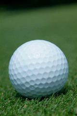 golf-ball on green