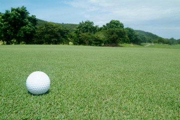 golf-ball on green