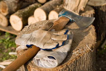 gloves