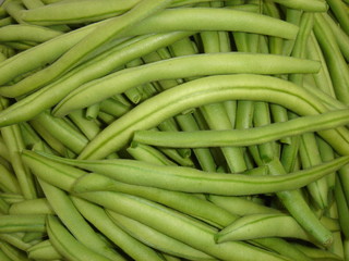haricots du jardin