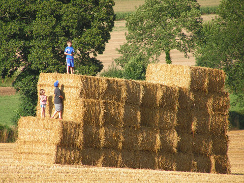 jeux sur la paille