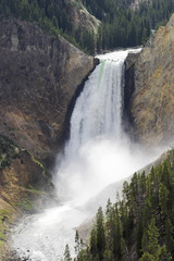 Fototapeta na wymiar Lower Falls, Yellowstone