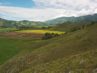 Fototapeta premium vivid fields