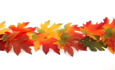 bright colored maple leafs - thanksgiving, fall