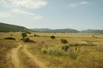 Fototapeta na wymiar yellow grassland