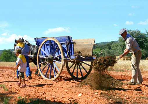  Travaux d'&eacute;pandage dans l'agriculture