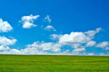 green field, blue sky and white clouds