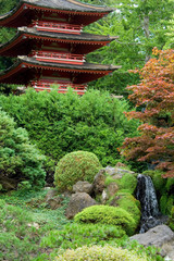 japanese tea garden
