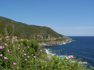 côte corse
