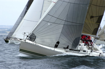 Naklejka premium regate 2