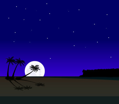 palm beach at night