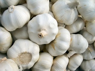 garlic bulbs