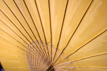 paper umbrella